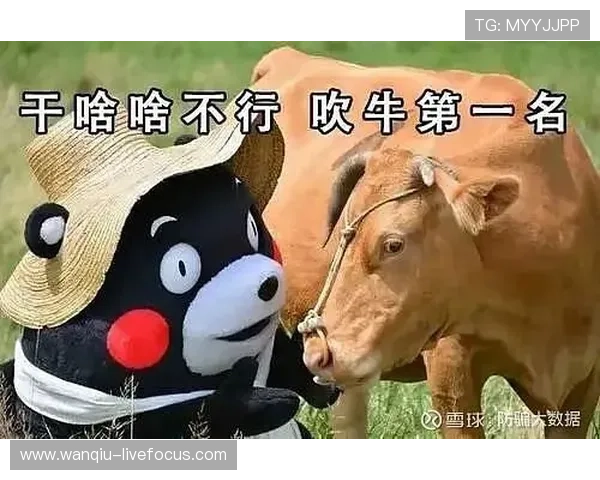 玩球交流微信群避坑防骗泛体育平台对比